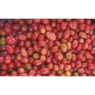 Tomat cherry 1kg
