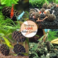 ALDER CONES ERLENZAPFEN CONE - PH BALANCE, STIMULATE BIRTH STIMULATE, STABILIZES MICROBIAL SHRIMP AQ