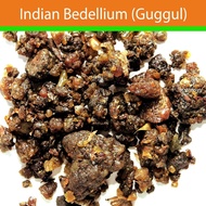 Indian bdellium resin raw gum (Commiphora Wightii / mukul) Guggul bhesa Kanthagana Guggala Guggulu b