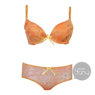 Size 32B-36B | Bra With Wire BNF 607