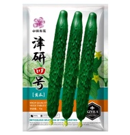 Jinyan No. 4 cucumber seed vegetable seeds early maturing easy to plant