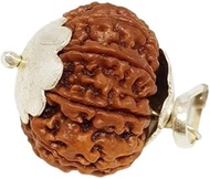 Retrend Design® Nepali 8 Mukhi Rudraksha with Silver Cap Eight Face Rudraksha Brown Bead आठ मुखी रुद