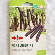 【READY Stock】❏▨EGGPLANT (TALONG) - FORTUNER F1