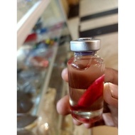 bunga kantil merah asli Berkualitas