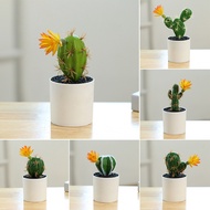 Artificial Cactus Boonsais Realistic Cactus Potted Plant Office Home Table Ornament