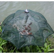 Bagua grid 8,12,16 doors