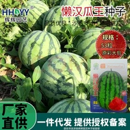 Lazy King Melon Seeds Watermelon Seeds Seedless Watermelon Seeds Fruit Seeds Fruit Seeds