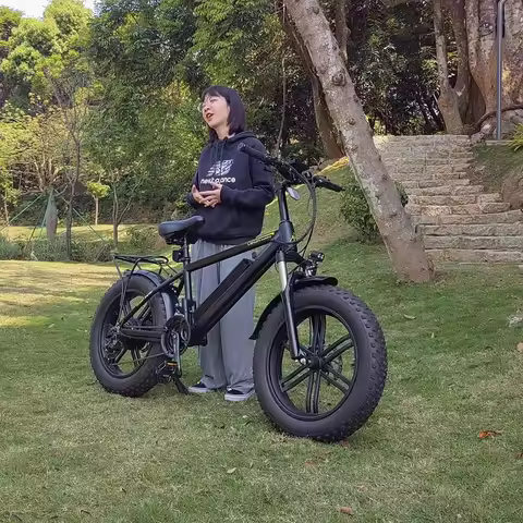 20 Inch Fat Tire Ebike 48V 500W 1000W Electric Bicycle 750W Mountain E Bike Power Assisted E-bicycle