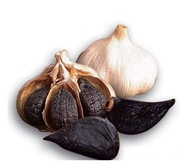 Black garlic superfood
