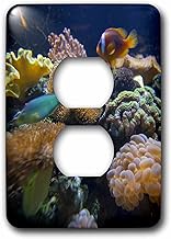 3dRose lsp_84836_6 Salt Water Aquarium, Vitu Levu, Fiji-OC01 DPB0398-Douglas Peebles-2 Plug Outlet Cover