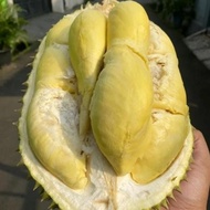 beras/ durian bulat utuh montong palu 2kg