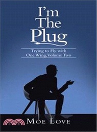 I the Plug ― Trying to Fly With One Wing