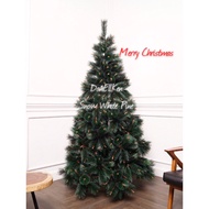 Snow White Pine Christmas Tree Size 3ft/90cm Christmas Tree