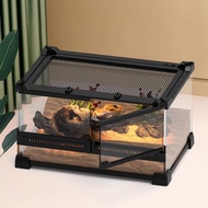 Reptile Tank Horn Frog Ecological Tank Reptile Tank Lizard Crab Tree Frog Palace Breeding Box Double
