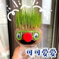 Head Long Grass Pot Creative Toothed Burclover Doll Small Pot Plant Watering Long Grass Plant Doll Radiation-Proof Offic
