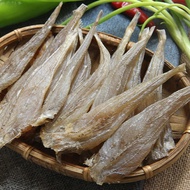 Ready Stock spot [Special Sale] Beihai Bengang Dried Salad Turtle Headless Fisherman Self-Drying Sar