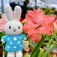 荷蘭 Just Dutch | Miffy 米飛兔 編織娃娃和她的梵谷杏花洋裝