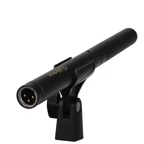 Interview Condenser Recording Microphone Condenser Portable Shotgun Microphone for News, Broadcast, 