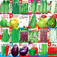 Yuantou Manufacturer Wholesale Vegetable Seeds Spring Summer Autumn Four Seasons Melon Fruit Seeds V