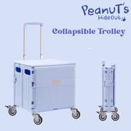 Foldable Cart / Collapsible Trolley (Dog Stroller) Foldable Dog Trolley