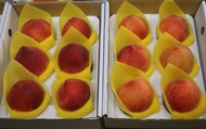 【桃香預購！香甜多汁的黃金水蜜桃 6顆禮盒 x2盒】市場少見 農藥殘留0檢出給你好安心