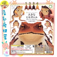 Overflowing Crazy Gacha IKIMON NTC Illustrated Book Giant Toad Frog Huge Doll Pet Kaohsiung Yancheng