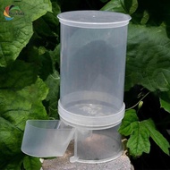 [chulisia] Automatic Pigeon Water Dispenser, Lightweight Container with , Water Bottle for
