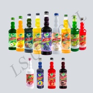 DING FONG THAI KORDIAL ICE BLENDED JUICE