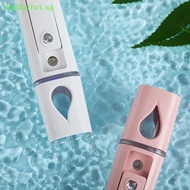 DAYDAYTO Facial Face Humidifier Beauty Instrument USB Rechargeable Mini Nano Facial Steamer Cool Mist Face  Face Humidifier SG