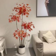 【免運】仿真綠植假紅楓樹盆栽植物造景楓葉裝飾花客廳室內擺件大型假花卉