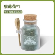貓薄荷貓咪零食粉末可食用貓草盆栽去毛幼貓化毛球除口臭逗貓