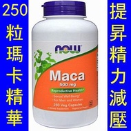 NOW-04762＿(250粒) Now Foods Maca 瑪卡精華