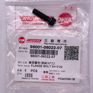 SYM Motors Sanyang (Single Price) 96001-06022-07 Edge Surface Bolt Screw
