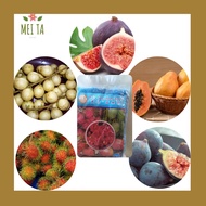 【RM4.8 ONLY 10%cashback】400g 超级结果肥 Baja Buah Fertilizer Fruit Tree Fertiliser Fruit Inducer Pokok 果树