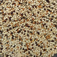 Mix Millet Bird Food Feed 20kg (1 Gunny)[Mixed Millet]