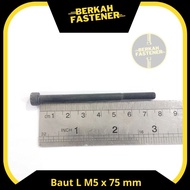 M5 x 75 mm steel L bolt M5 screw M5 bolt