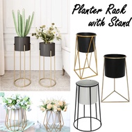 Elevated Planter Flower Pot Gardening Tall Metal Indoor Detachable Removable Pot Rack / Plant Pot/ Stand