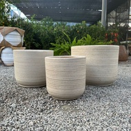 GPS Green Plant Society XTRA Large Short Modern Cylinder Stripes Ceramic Pot 特大时尚圆柱陶瓷花盆