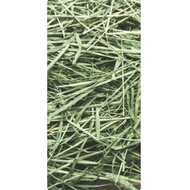 Premium Quality Imported Timothy Hays 1kg
