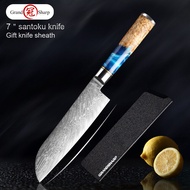 67 Layer Japanese Damascus Steel Kitchen Knives VG10 Chef Knife Cleaver Paring Bread Knife Blue Resi