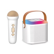 POLVCDG Karaoke Portable Speaker Amplifier Home ktv Outdoor Speaker Microphone Loud Sound Speaker with 2 Wireless Microphones Stereo Surround