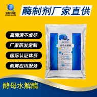 Dongheng Huadao Yeast Extract Enzyme Brewer Bread Yeast Protein Broken Enzyme Yeast Hydrolyzyme