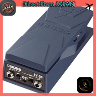 BOSS/EV-30 DUAL EXPRESSION PEDAL