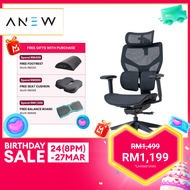 [NEW] ANEW Ace Ergonomic Chair Seat Backrest and Adjustable Lumbar | Kerusi Office Kerusi Gaming Cha