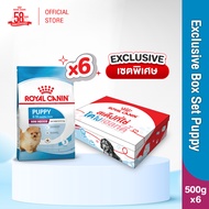 Royal Canin Exclusive Box Set Mini Indoor Puppy 500g x6 ถุง อาหารเม็ดลูกสุนัข พันธุ์เล็ก เลี้ยงในบ้า