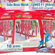 25 pcs Bibit Cabe Merah Besar - LUWES F1 (Hibrid) 10g Benih Unggul x25