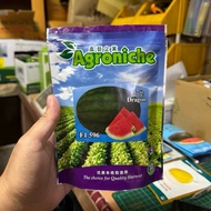 Paket 200g (3000 Biji) DRAGON F1 596 Biji Benih Tembikai Boci Madu Tanpa Biji Hybrid Seedless Waterm