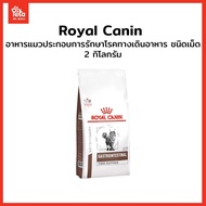 VHN CAT GASTROINTES FIBRE RESPONSE 2 kg (ท้องผูก)