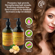 Hair Growth Set I Set Pelebat Rambut I Ginger Hair Care I Shampoo Halia