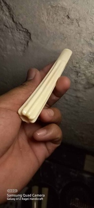 Pipa once iga duyung 10cm asli